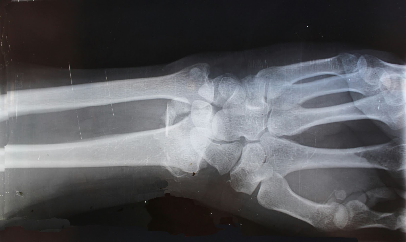 Streamlining Efficiency: How Radiology Software Systems Empower Modern Healthcare